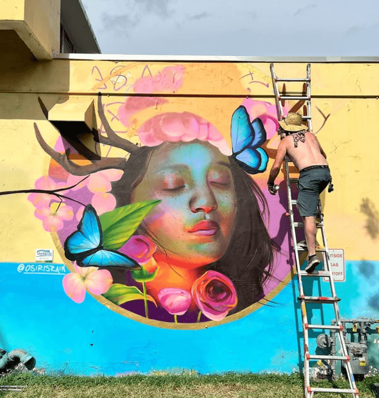 Person on ladder painting colorful mural of a woman's face with flowers and butterflies on a yellow wall.