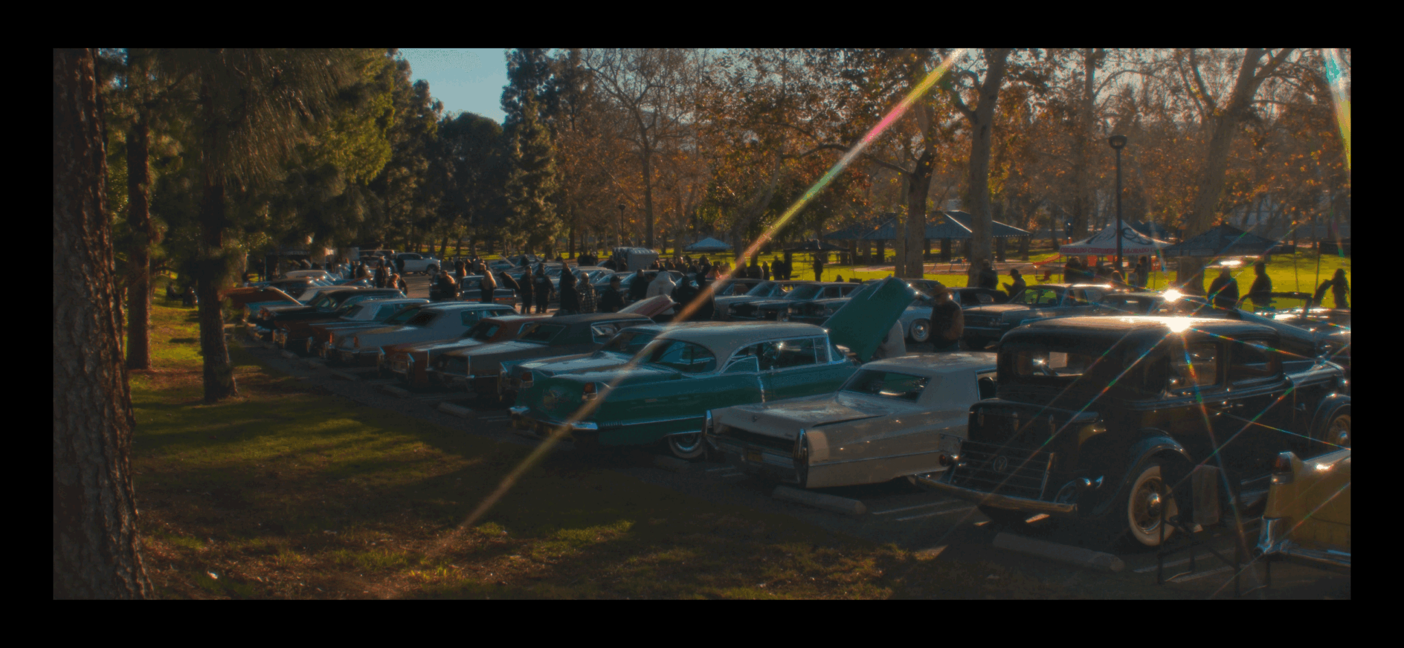 Parking lot filled with vintage cars under trees with autumn foliage.