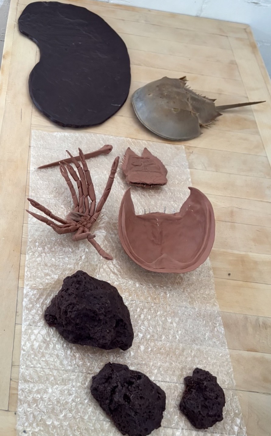 Six objects on a wooden surface: a black rounded object, a grayish object with a stick, a bundle of reddish sticks, a broken reddish object, a dark porous rock, and a smaller dark rock.