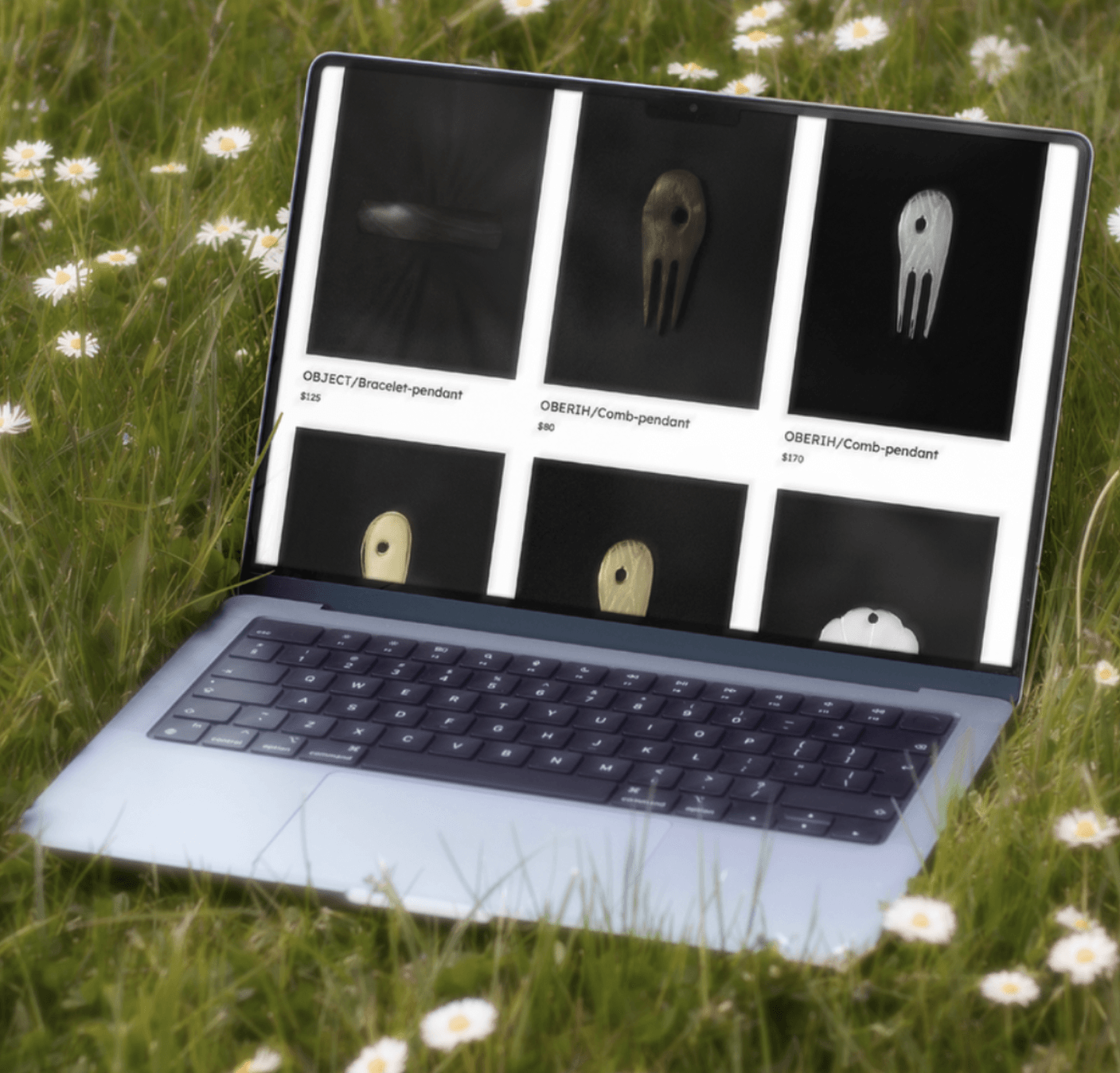 Laptop displaying images of a fork with a face, on grass with small white flowers.