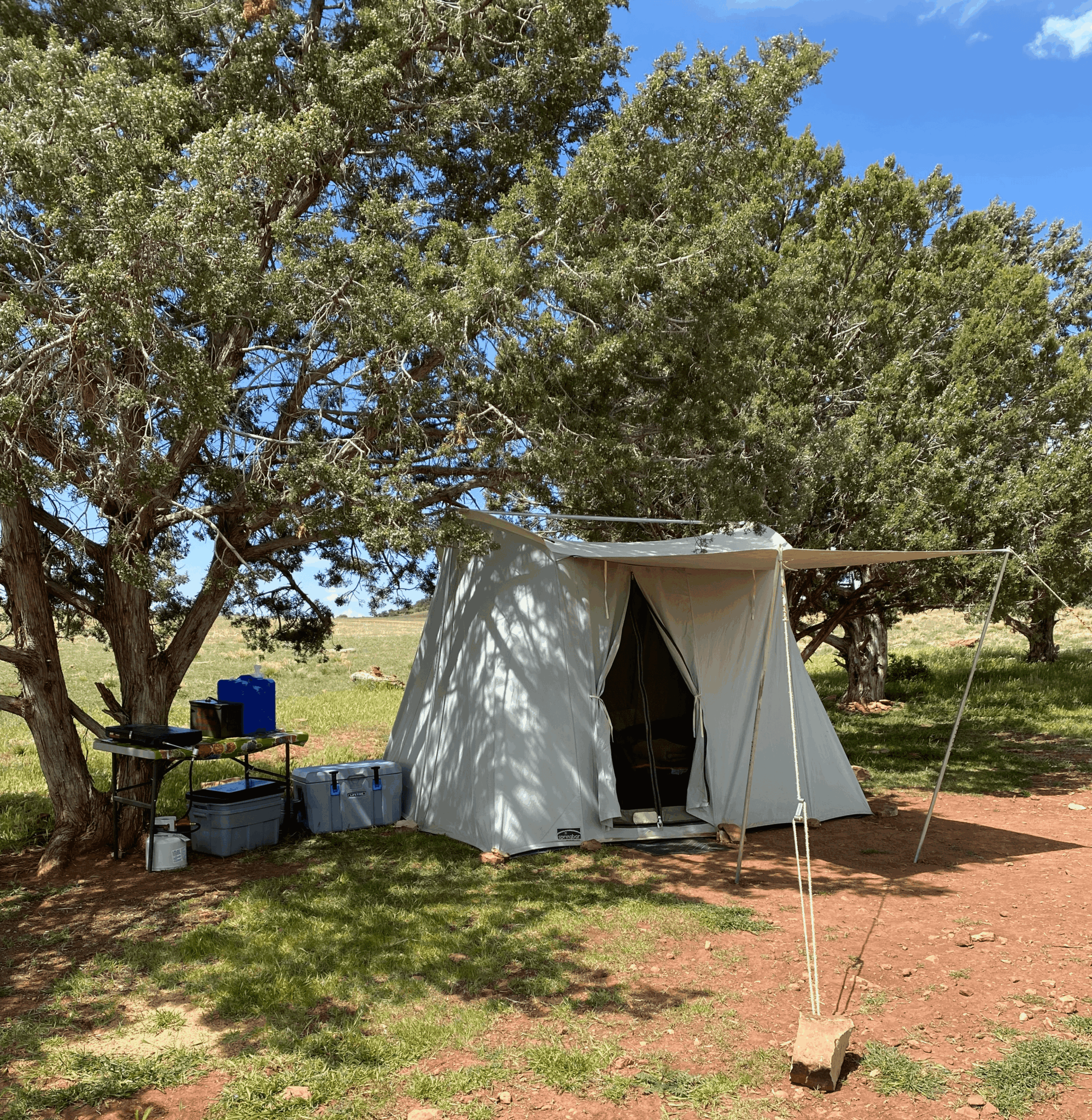 Tent set up outdoors under a large tree with camping supplies nearby, on a sunny day with blue sky.