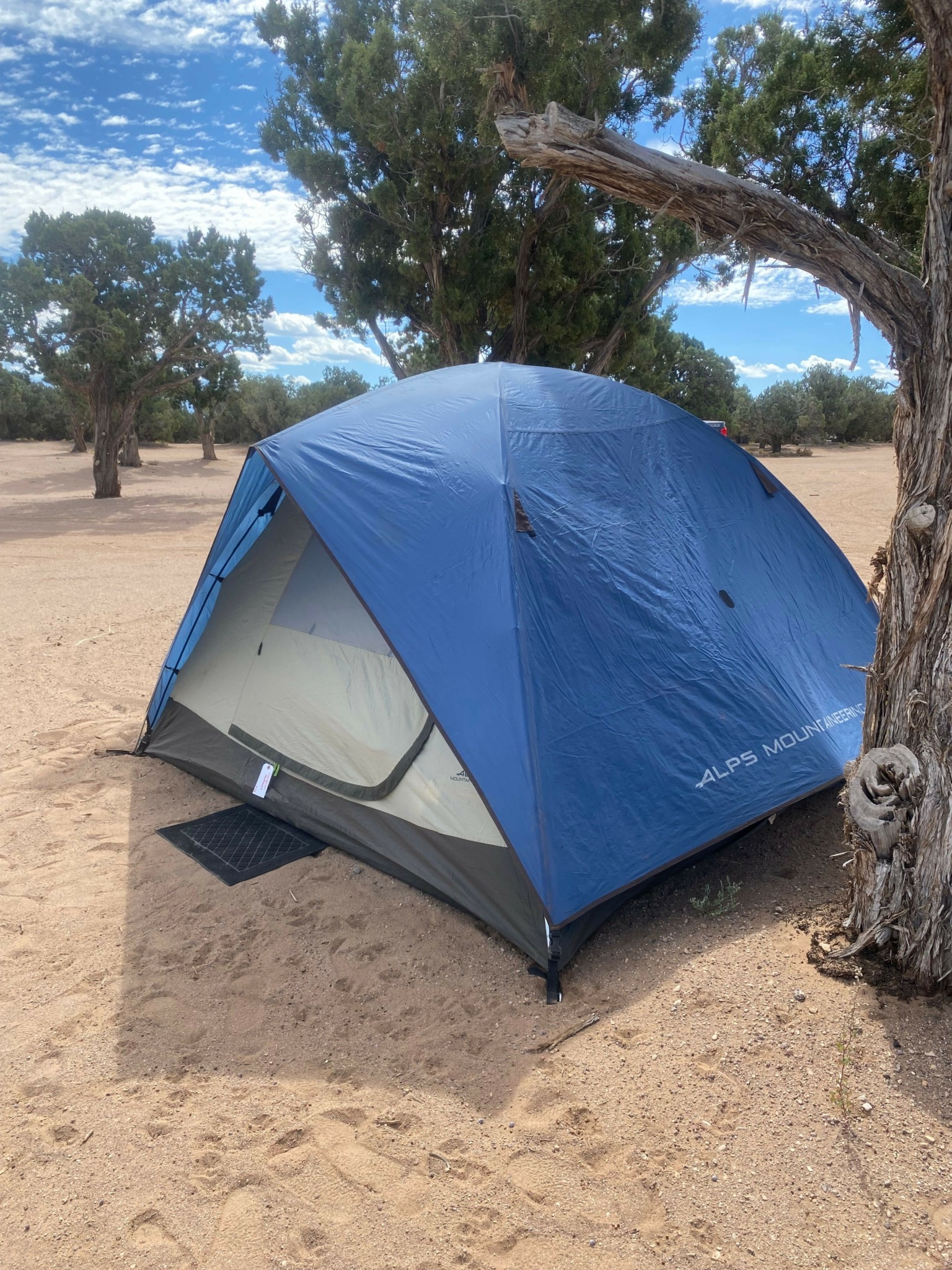 Blue and gray tent set up on sandy ground near trees with a blue sky and clouds in the background.