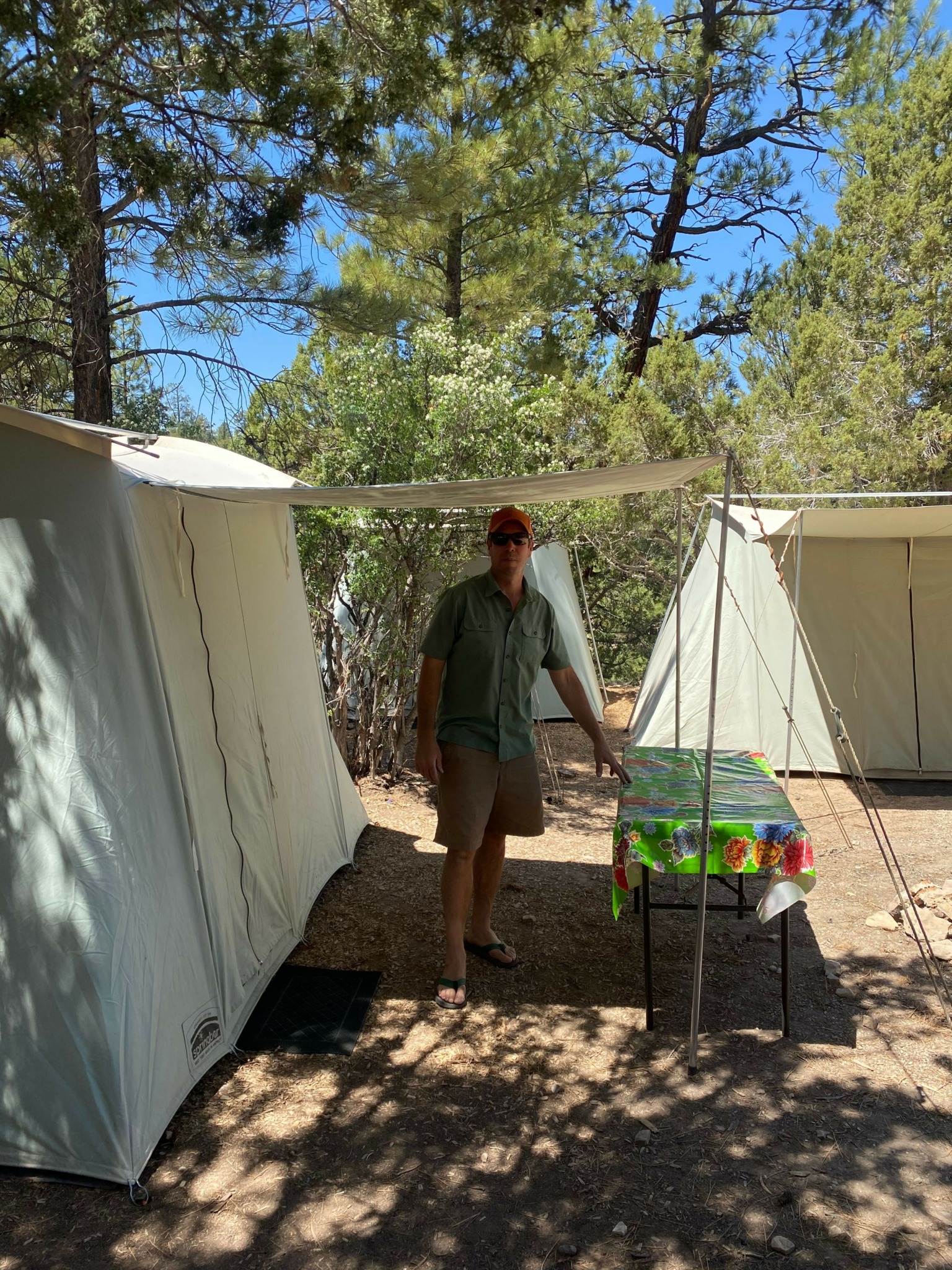 Person standing outdoors near trees and tents, with a table of colorful items, shadows on ground, blue sky.