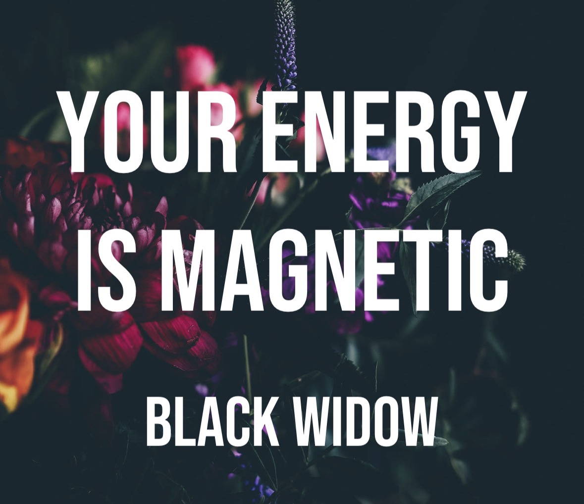 Text on dark background reads 'Your energy is magnetic' and 'Black Widow'.