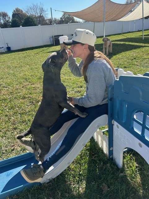 Person in gray hoodie and white cap interacts with a black dog on a small slide outdoors.